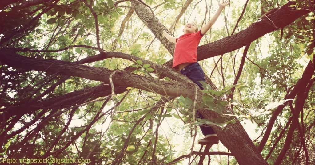 Kind - Baum - Abenteuer Kind - Baum - Abenteuer