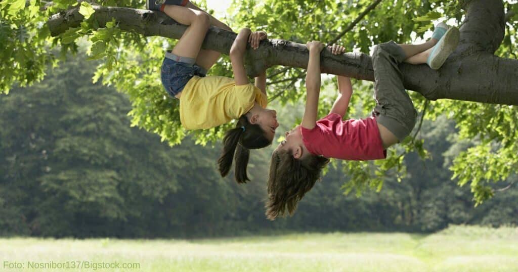 Kinder - klettern - Baum Kinder - klettern - Baum