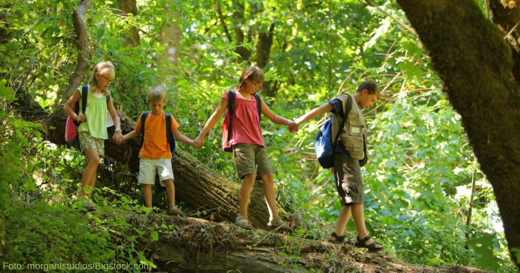 Kinder - raus in die Natur Kinder - raus in die Natur